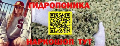 наркотики Будённовск